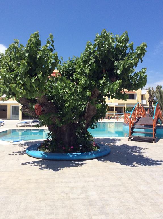 Angelos Beach Hotel Faliraki Exterior photo